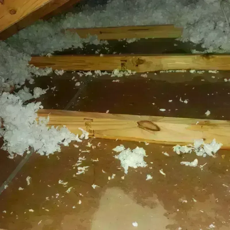 Attic Water Damage in Lindale, GA